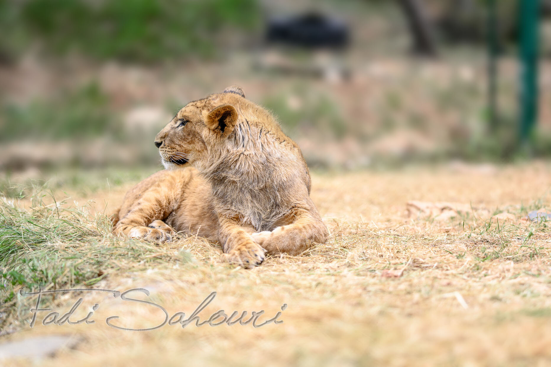 DSC_3845-Edit.jpg