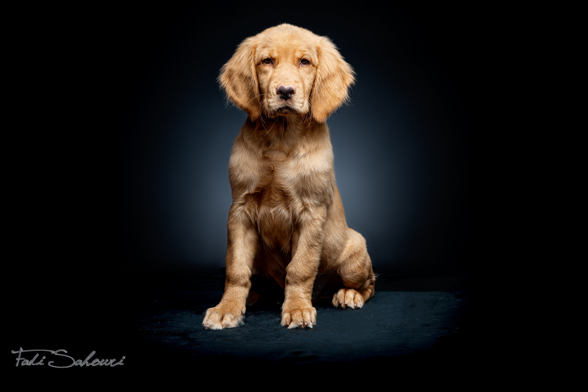_ZZ78403-Edit-6.jpg